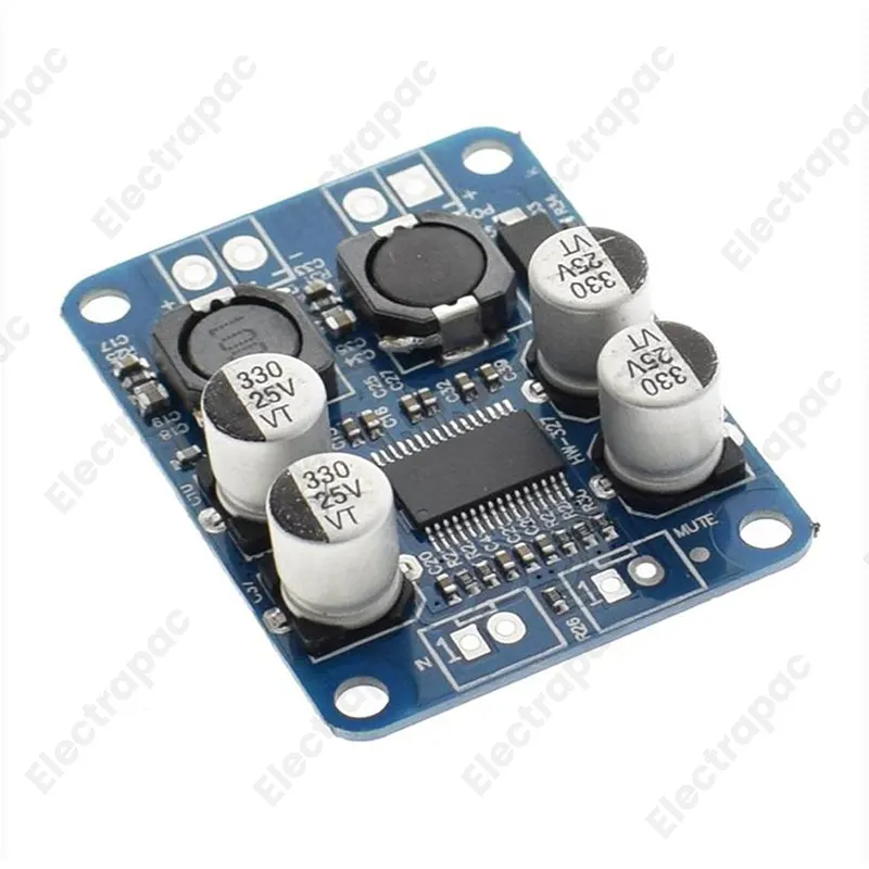TPA3118 60W Mono Digital Power Amplifier Board - High Performance DC 12V-24V Audio Amp Module